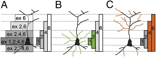 Fig. 6.