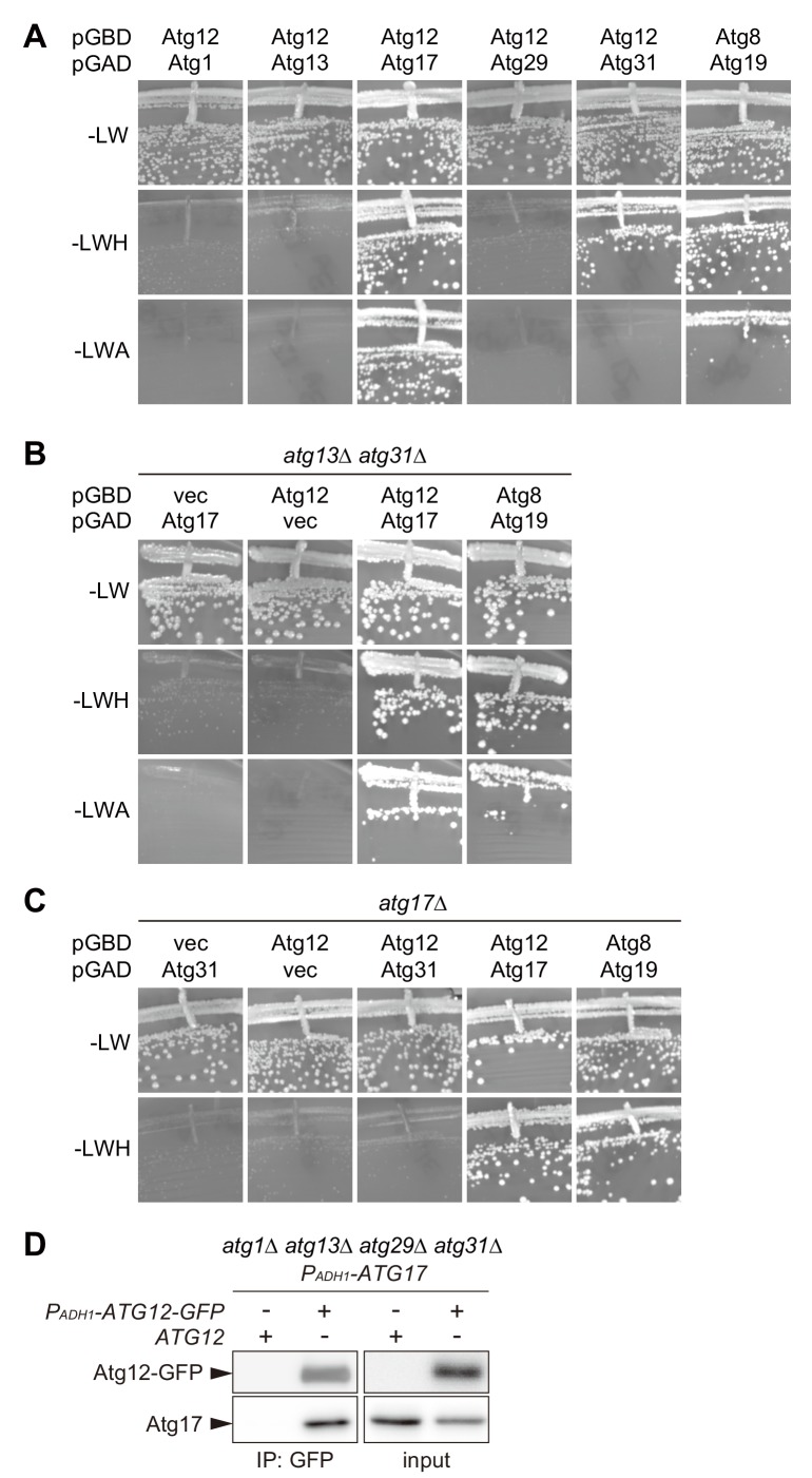 Figure 2—figure supplement 2.