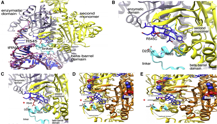 Figure 6