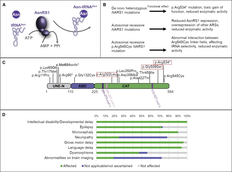 Figure 1