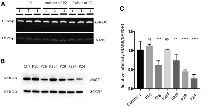 Figure 4