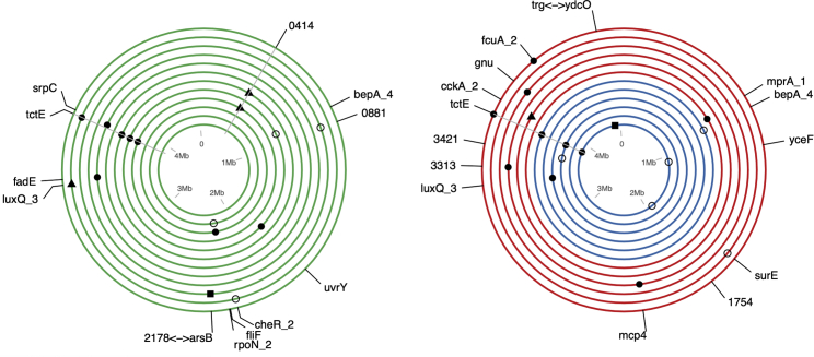 Figure 4