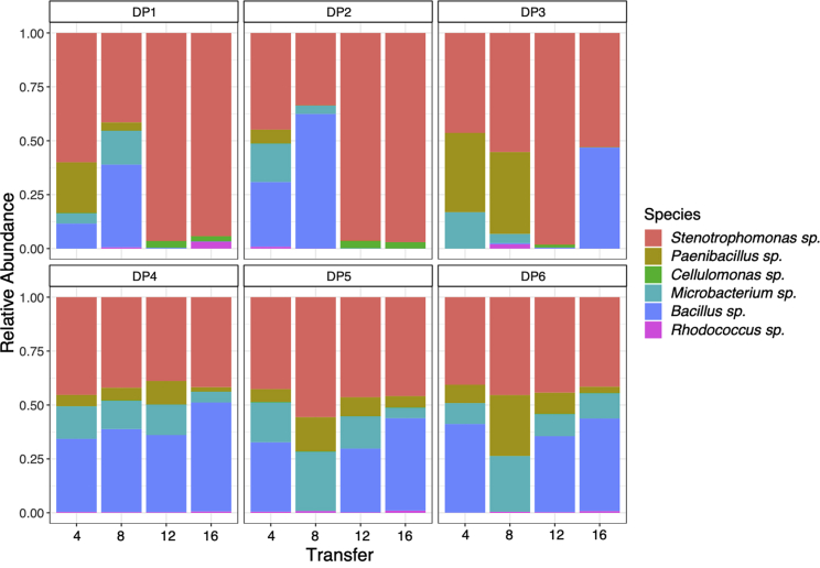 Figure 3