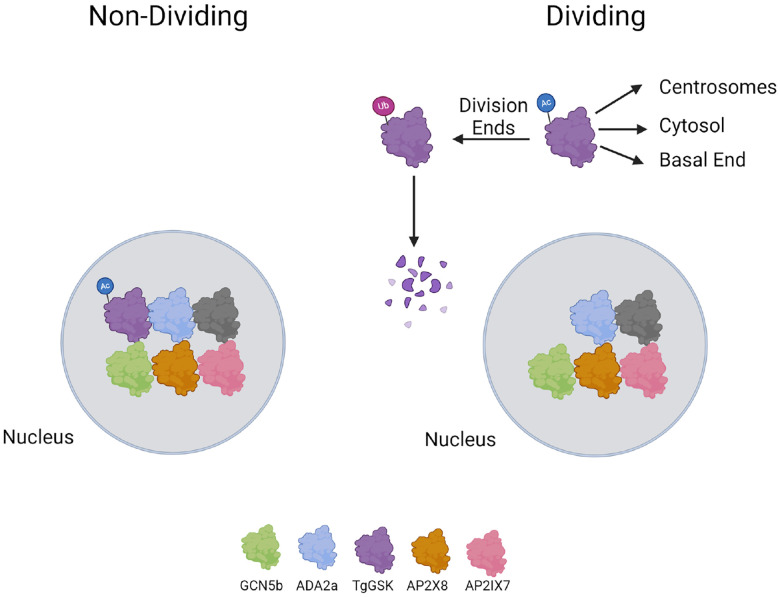 Figure 10.