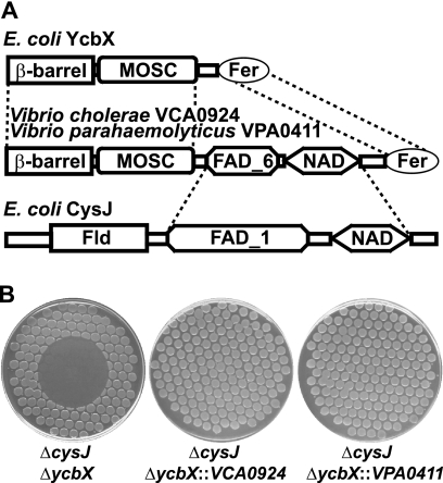 FIG. 6.