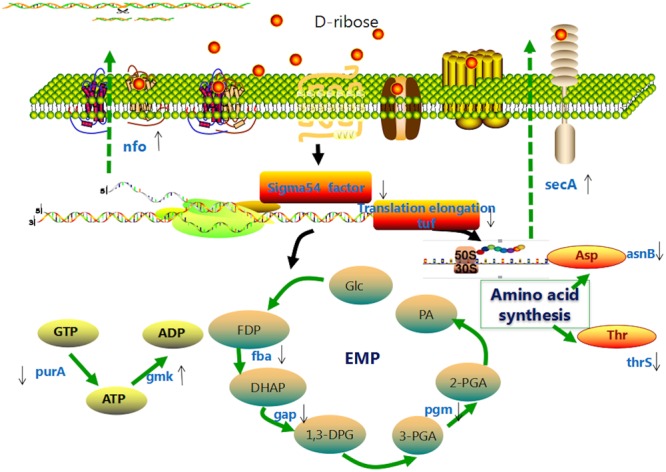 FIGURE 10