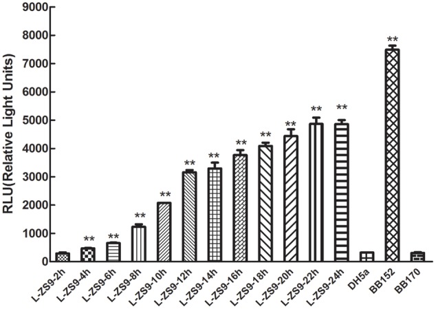 FIGURE 2