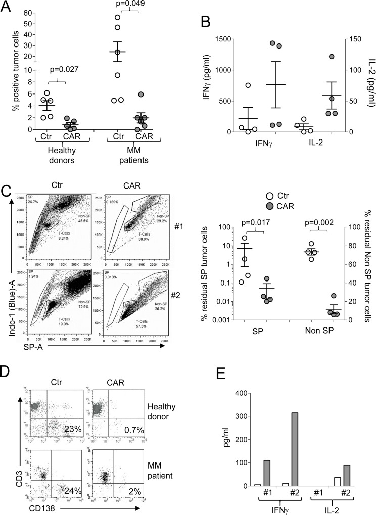 Safety and efficacy of targeting CD138 with a chimeric antigen receptor ...