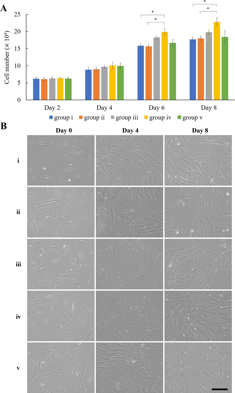 Fig 6