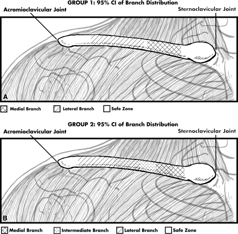 Fig. 2A–B 