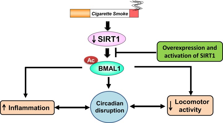 Figure 13.