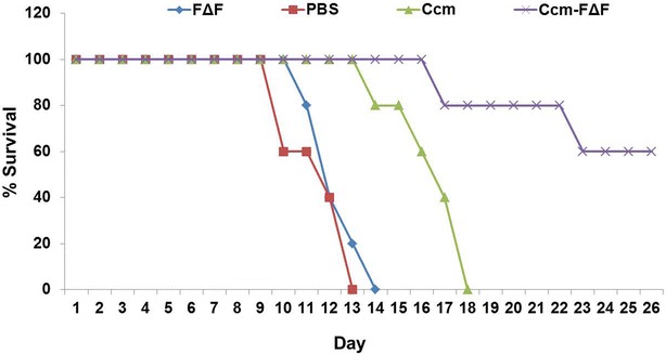 Fig. 7