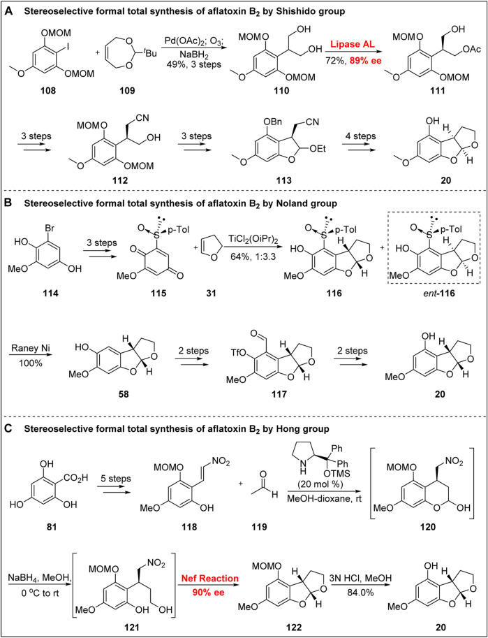 FIGURE 13