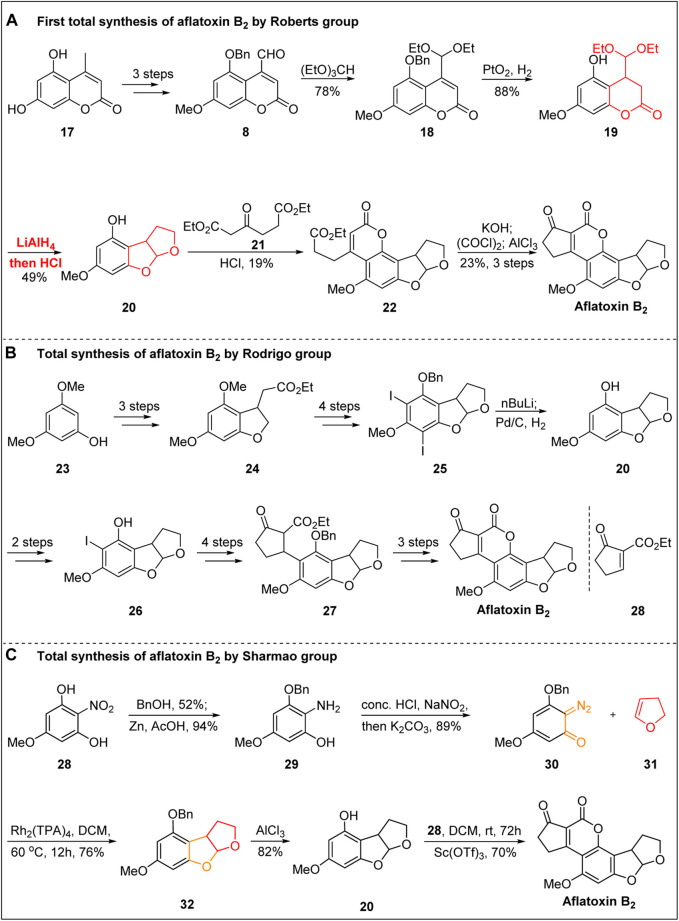 FIGURE 3