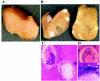 FIG. 8.