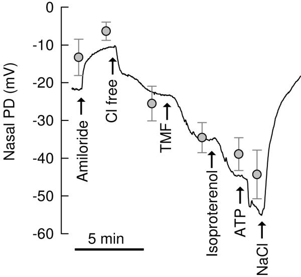 Fig. 5