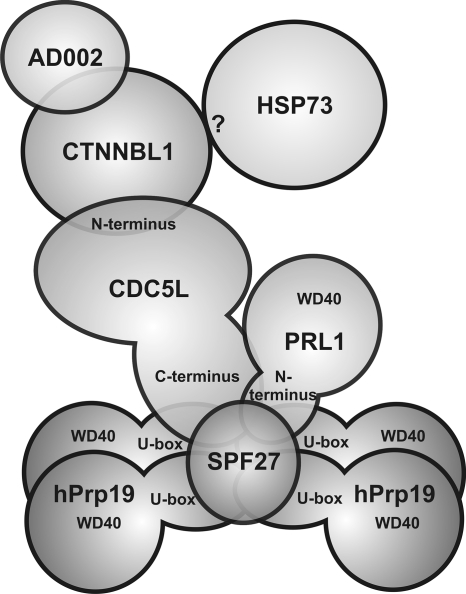 FIG. 10.