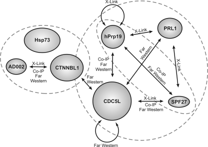 FIG. 7.