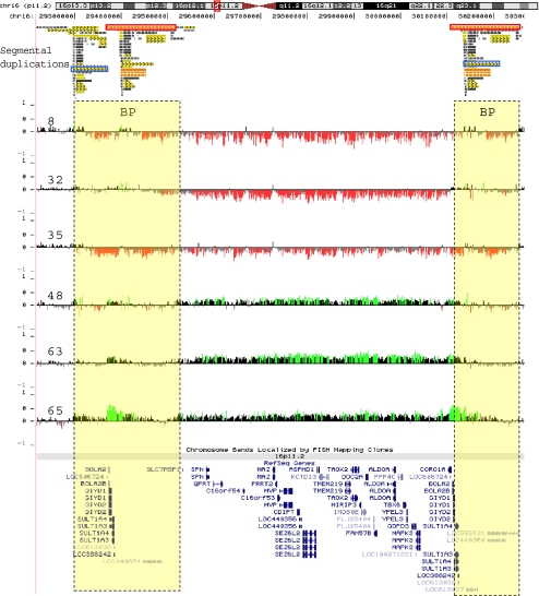 Fig. 1