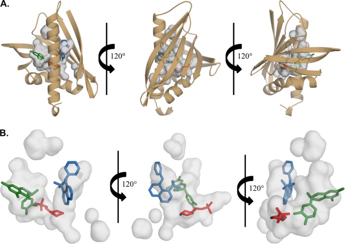 FIGURE 5.