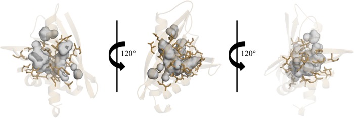 FIGURE 3.