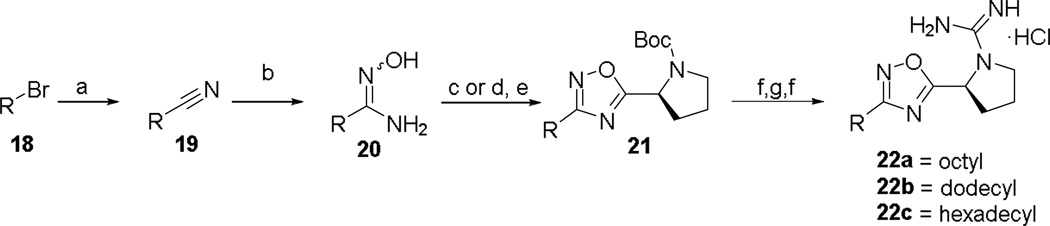 Scheme 5