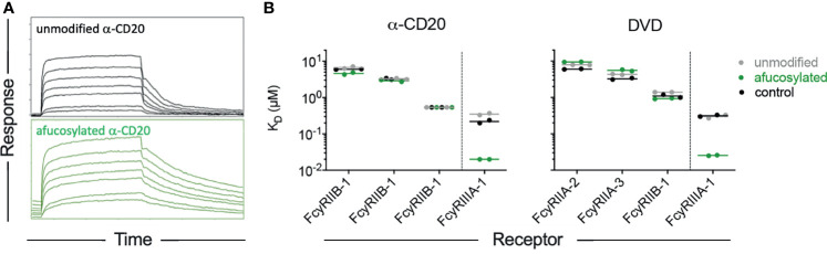 Figure 5