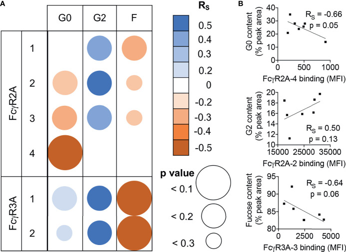 Figure 6