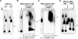 Fig 8