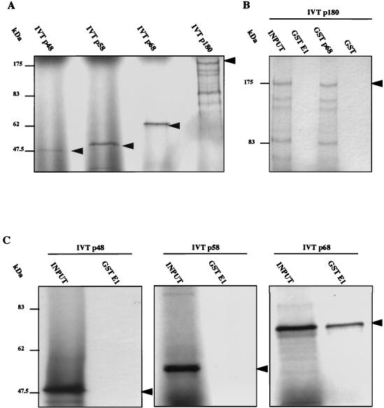 FIG. 6