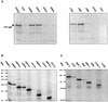 FIG. 7