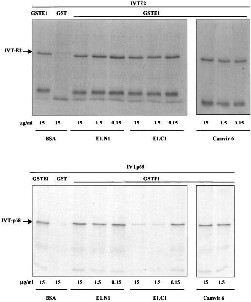 FIG. 8