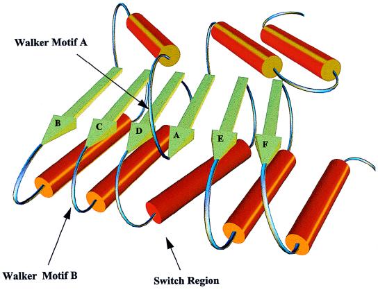 FIG. 11