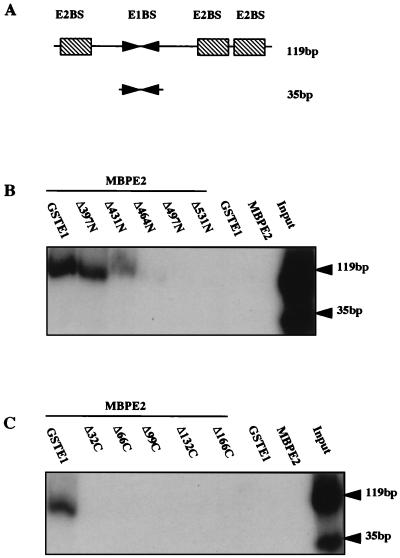 FIG. 5