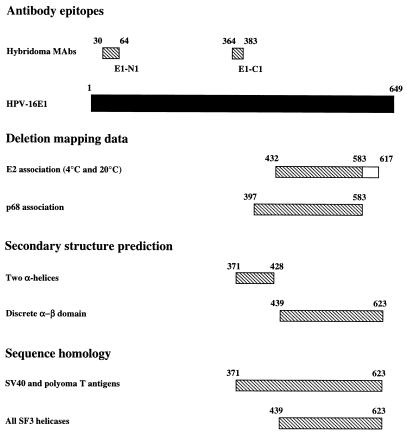 FIG. 12