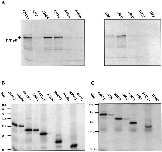 FIG. 7