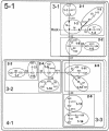 Figure  6