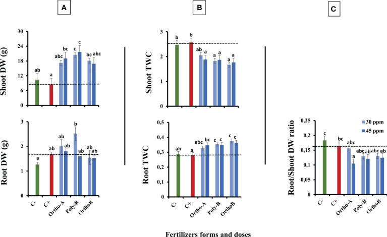 Figure 4