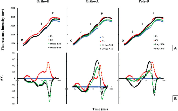 Figure 2