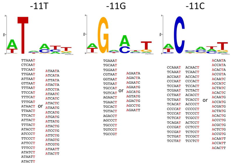 Figure 7