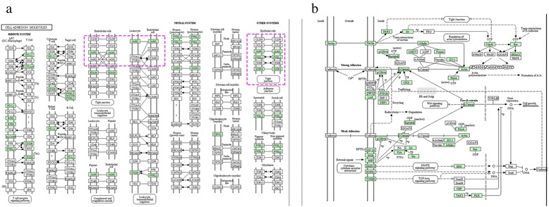 Fig. 7