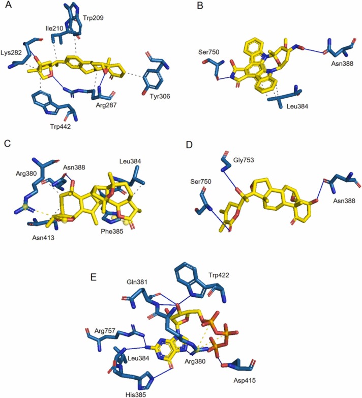 Fig. 3