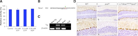 Figure 9.