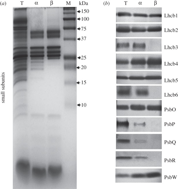 Figure 4.