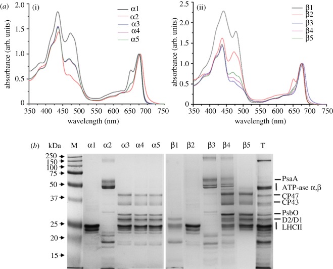 Figure 2.