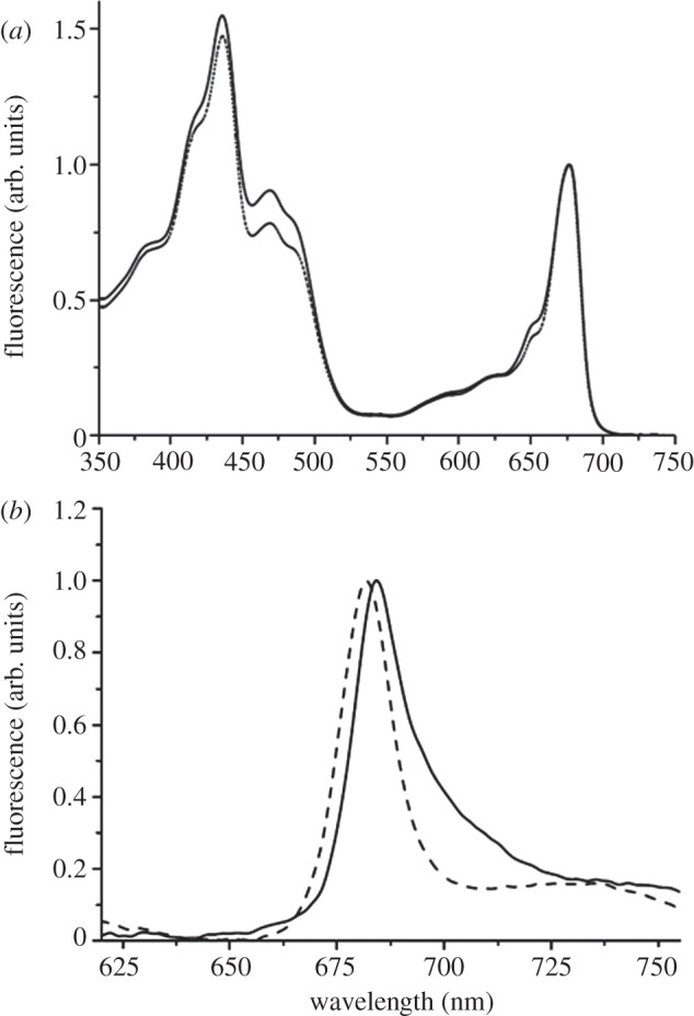 Figure 3.