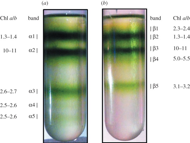 Figure 1.