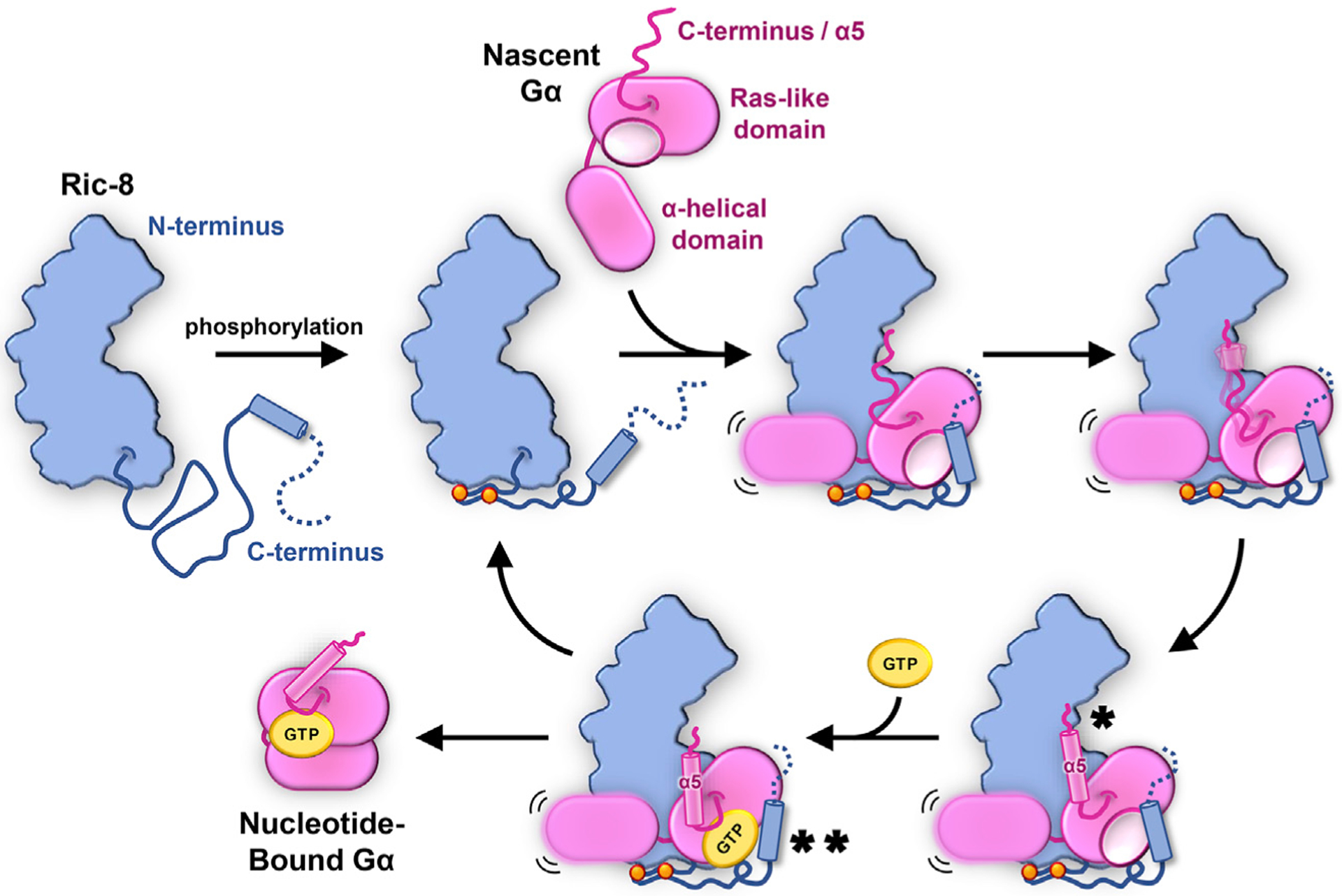 Figure 7.