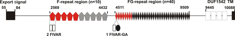 FIG 1