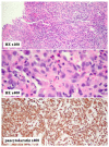 Figure 3.